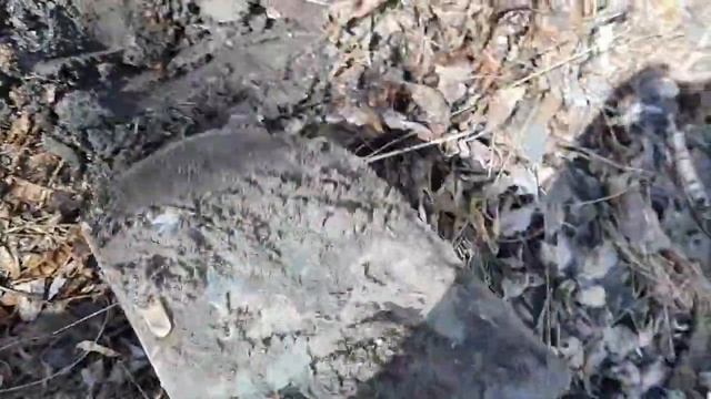 коп ранней весной с МД 40-30 смотреть онлайн