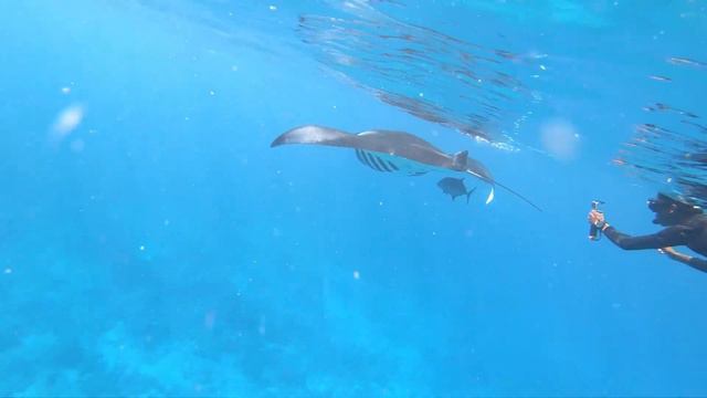 Malediven 2020 - Oblu Select at Sangeli смотреть онлайн