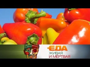 "Еда живая и мёртвая": какой перец лучше, все о зефире и пять полезных добавок к пище (20.01.2018)