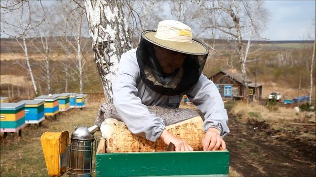 сбор маточного молочка 2014г Пчеловод24.рф смотреть онлайн