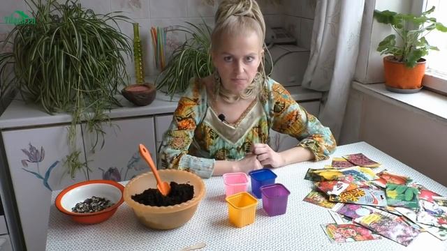 ? Нехватка кислорода - частая причина гибели рассады - 7 дач