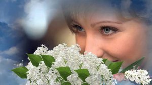 Белая сирень