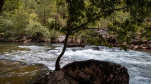 Интересные истории. Не уходи! Увлекательные истории. Душевные истории. Рассказы.