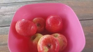 Яблоня летняя, сорт Молис Делишес (apple Molies Delicious)