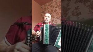 Гармонь Нарач-2