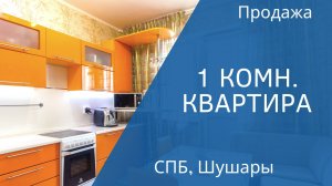 1 к.кв. 39 кв.м. п. Шушары , г .Санкт-Петербург