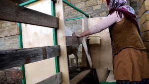 КОЗЫ ЗААНЕНСКОЙ ПОРОДЫ ПРИБЫЛИ В КРЫМСКОЕ ГНЕЗДО. ВКУС КОЗЬЕГО МОЛОКА. КРАСОТА И ПОЛЬЗА НАЛОБНИКА.