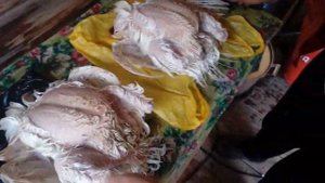 ПЕРОСЪЕМНАЯ МАШИНА NT550 В РАБОТЕ