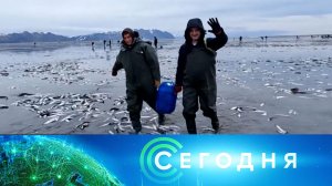 «Сегодня»: 9 июня 2024 года. 10:00 | Выпуск новостей | Новости НТВ