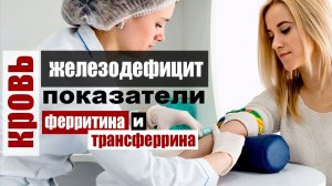 Ферритин и Трансферрин - железодефицит и показатели биохимии крови