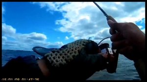 рыбалка в Котласе