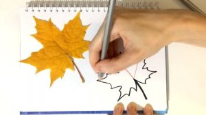 Как нарисовать осенний листик? Уроки рисования для детей. Выпуск 11