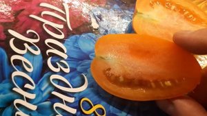 Дегустация томатов: Златовласка, Ямайка F2, Нижегородский кудяблик, Буян желтый.