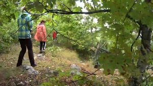 Экскурсия в Рачейский бор из Тольятти, 17 сентября 2022 г.