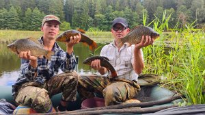 Вот это рыбалка!Трофейные караси и лини на поплавок в камышах