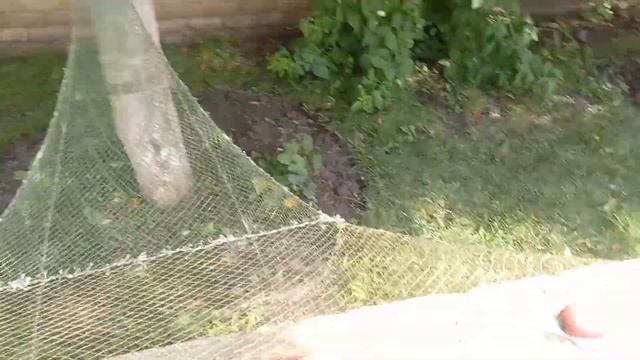 Самый маленький бредень с мотнёй. смотреть онлайн