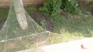 Самый маленький бредень с мотнёй.