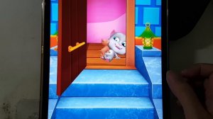 My Talking (Cat Bob + Tom Cat + Gummy Bear + Angela 2) & My Virtual Pet ( Grumpy + Crazy Bob + Dog)