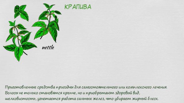 10 природных даров для густой шевелюры! смотреть онлайн