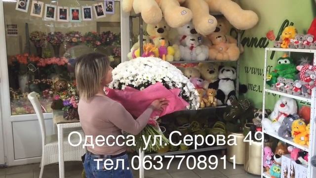 101 ветка ромашек смотреть онлайн