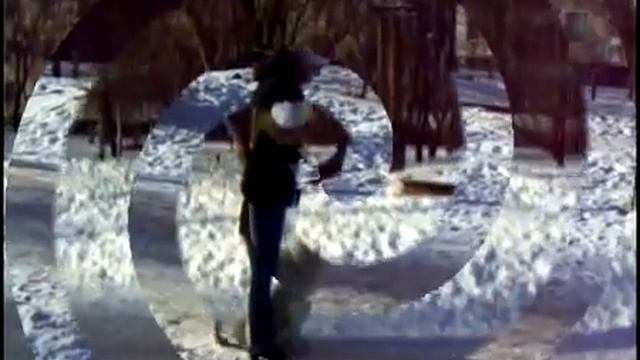 самоедская лайка   самые красивые и самые послушные!