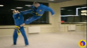 История Вовинам Вьет Во Дао