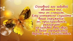 Развитие плода на 19 неделе беременности/Календарь беременности!