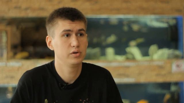 Все О Домашних Животных: Радужная Цихлазома смотреть онлайн