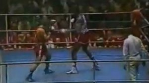 Бокс тяжелый вес Теофило Стевенсон VS  Пиотр Заев 1980г.