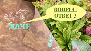 ВОПРОС / ОТВЕТ. ВСЕ ПРО ДАЧУ. ЧАСТЬ 3. Дачный креатив.