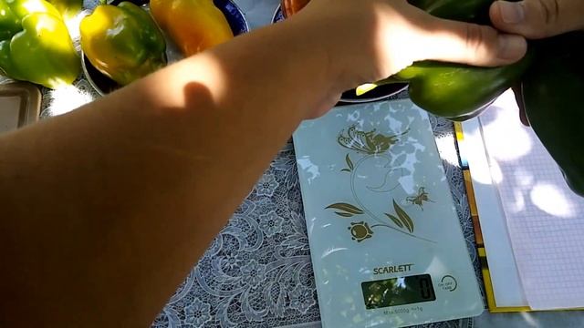 Дегустация и обзор сладкого перца Иоло Вондер, Пурпурный колокол, Изюминка смотреть онлайн