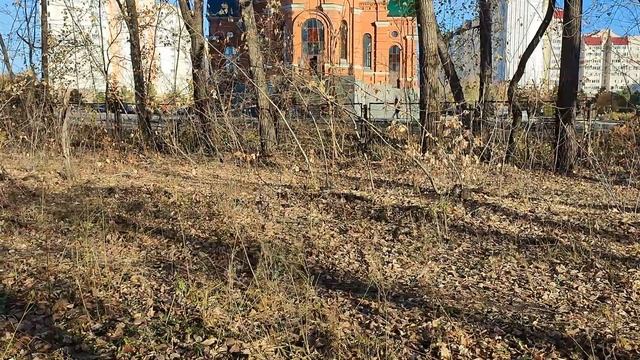 Церковный перезвон. Волшебный перезвон. Колокольный звон в Александро-Невском Соборе. Барнаул