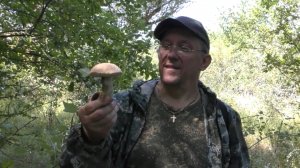 Грибов много, подосиновики не отпускают из леса