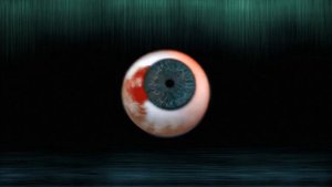 Контора Кука - Знать Во Льдах