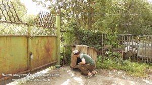 лечим собачьи страхи. фобия будки