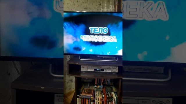 Реклама на VHS "Прогулки с динозаврами часть 1" (2000) от Союз-Видео (2002) смотреть онлайн