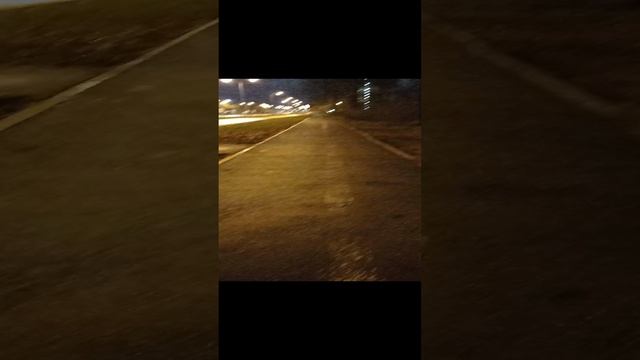 SaRasVa-@ti Школа знаний "Живая энергия". Лекция 2-1. Теория: "Укрепление здоровья и иммунитета".