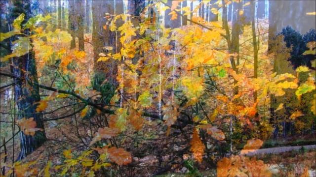 Осенний сон. смотреть онлайн