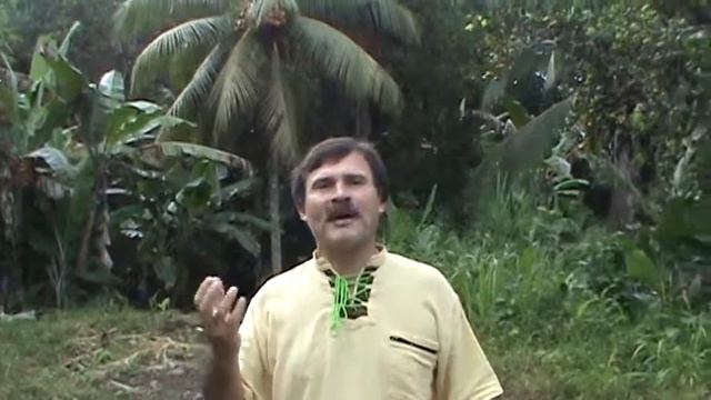 Сергей Крутько "ТРОПИЧЕСКИЕ ДАЛИ". Коста-Рика. Costa Rica