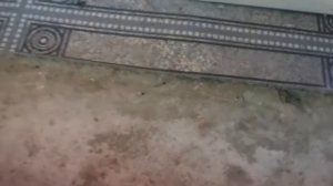 Влог: Купили дом на юге. Переехали с Дальнего Востока. Привет из прошлого. Про комментарии.