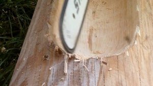 резьба бензопилой