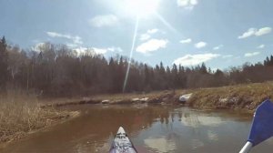 Зеленоградский водный марафон. 2019г.