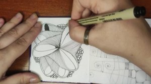 Зентангл Ракушка завитушка