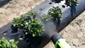 Воздуходувка на электрический опрыскиватель, насадка на опрыскиватель,.