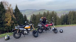 2023 Honda Dax 125 vs '22 Monkey (First Impressions - English)