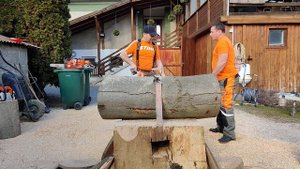 STIHL MS 500 i vs. STIHL MS 661 C.