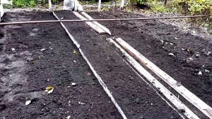 Грядки для малины. www.globusbm.com