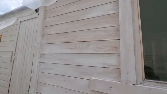 Заказываем зерно |нужен кондиционер |огород травницы.