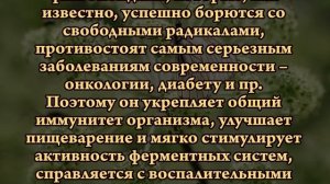 ЖЕНСКИЙ ЖЕНЬШЕНЬ - дягиль лекарственный