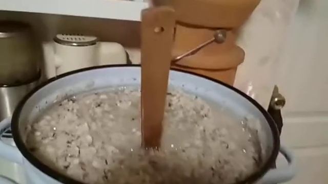 Процесс ферментирования черной редьки